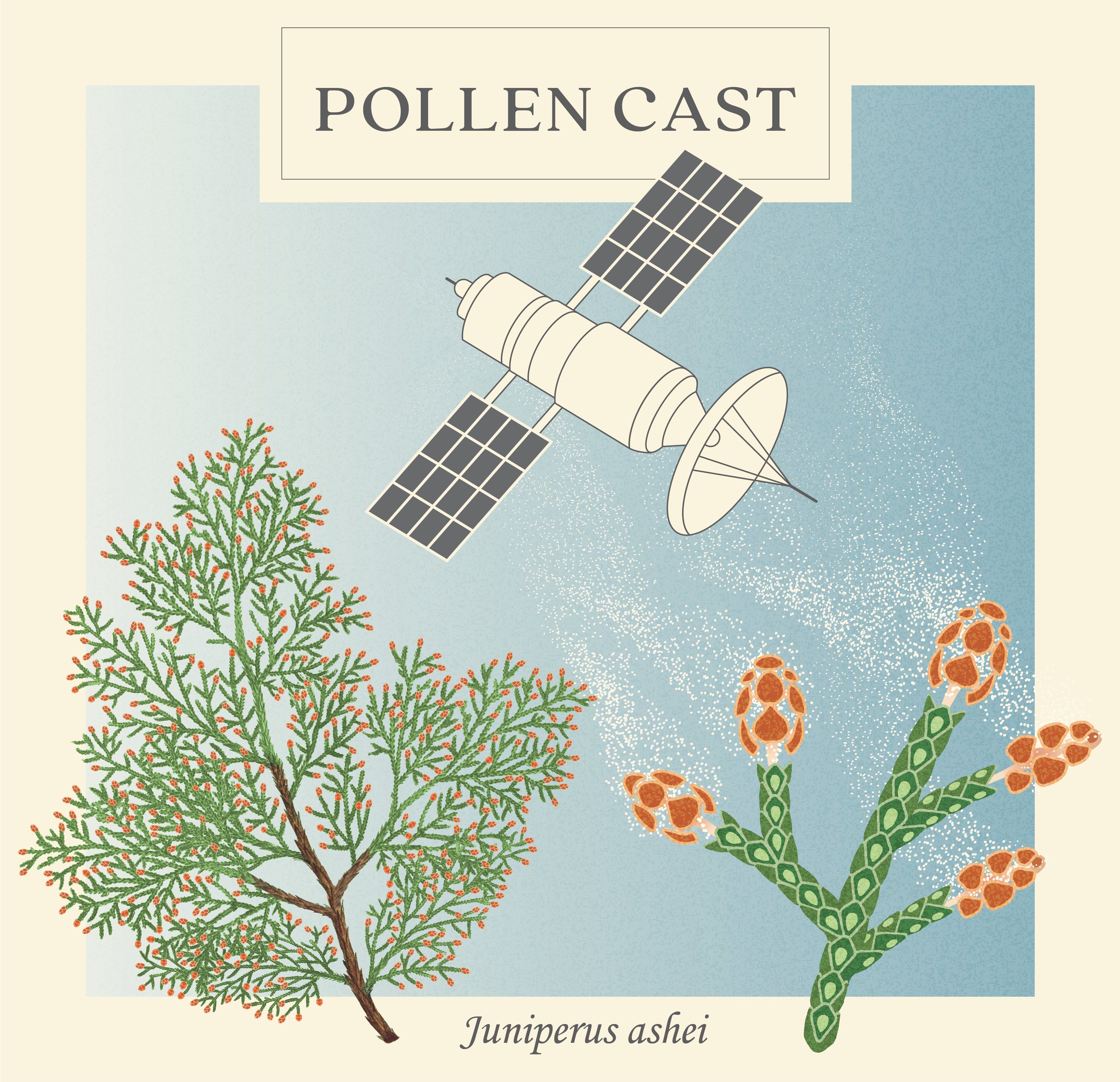 PollenCAST campaign logo with juniper and satellite