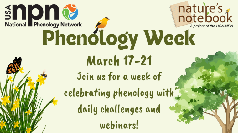 Phenology week banner with dates of March 17-21 and NPN and Nature's Notebook logos
